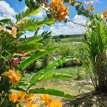 Location Vacances Guadeloupe Gite Et Table D'Hotes Kaz A Klemence Anse-Bertrand Extérieur photo