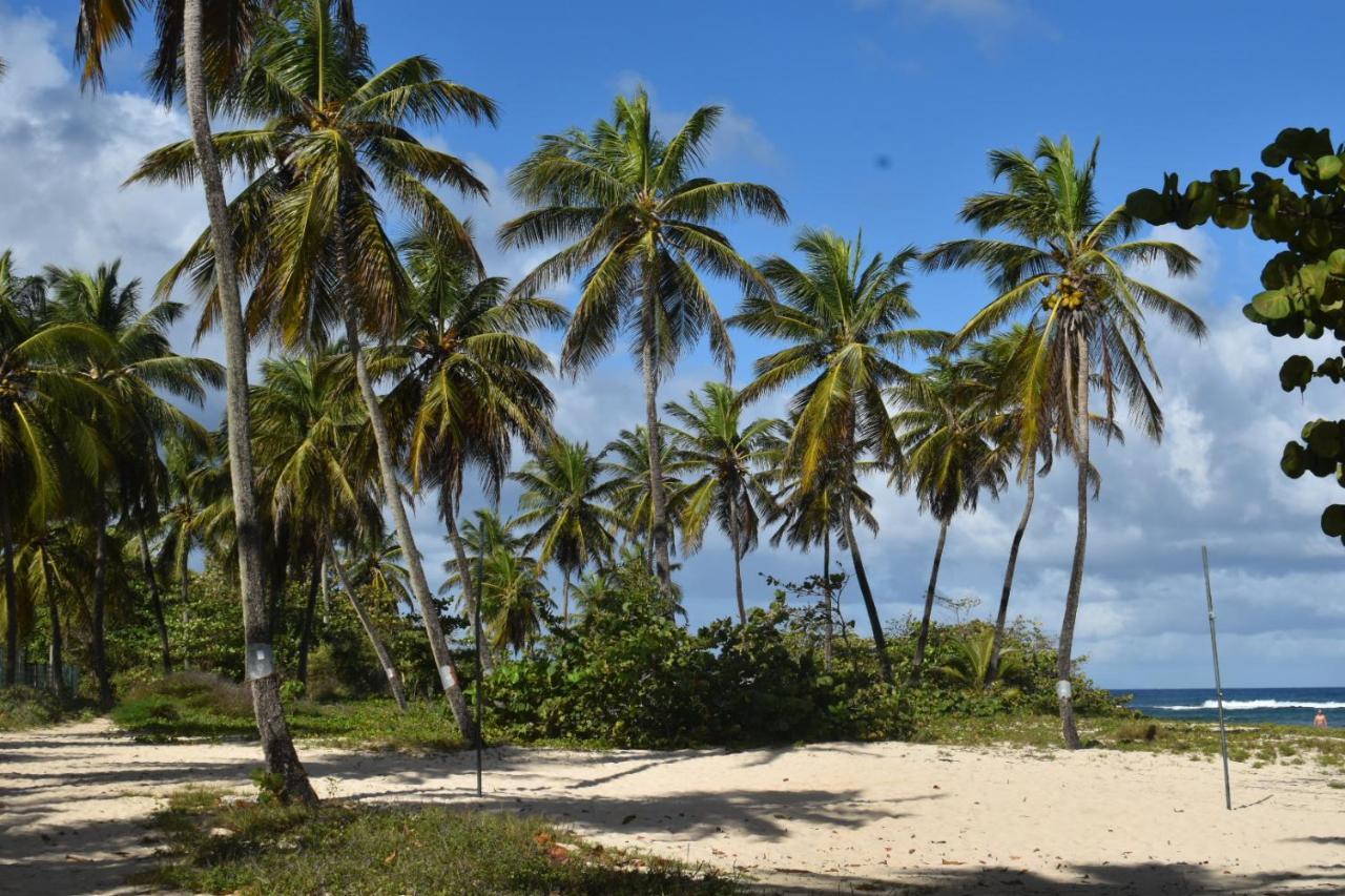 Location Vacances Guadeloupe Gite Et Table D'Hotes Kaz A Klemence Anse-Bertrand Extérieur photo