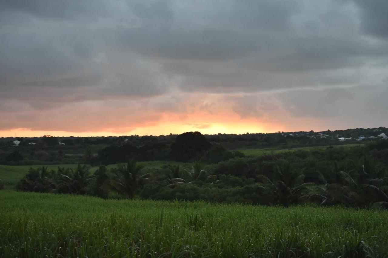 Location Vacances Guadeloupe Gite Et Table D'Hotes Kaz A Klemence Anse-Bertrand Extérieur photo