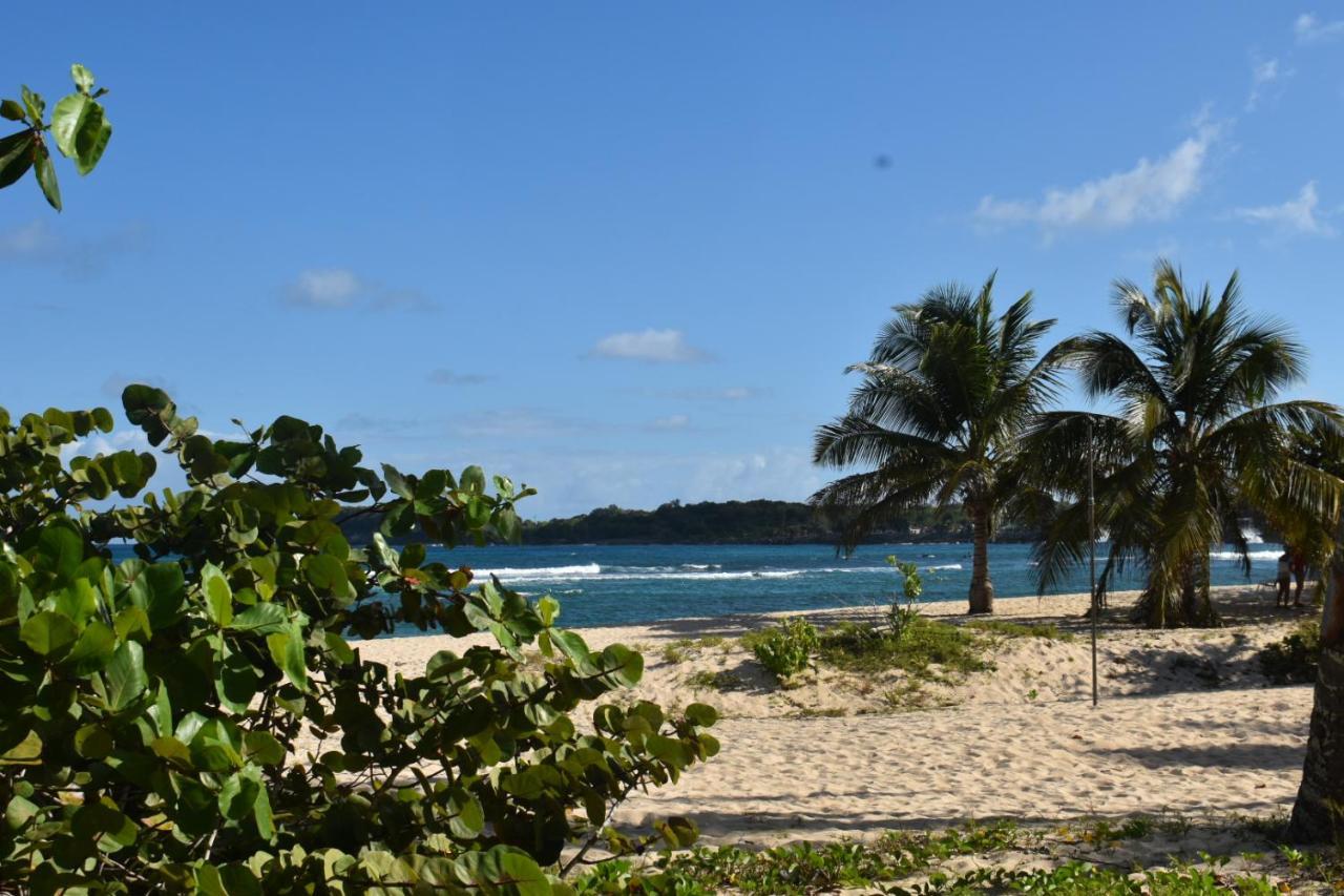 Location Vacances Guadeloupe Gite Et Table D'Hotes Kaz A Klemence Anse-Bertrand Extérieur photo