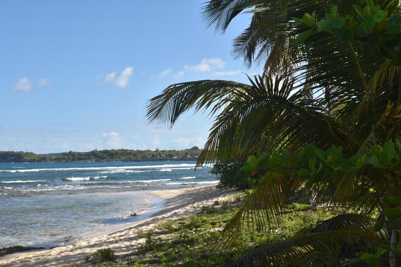 Location Vacances Guadeloupe Gite Et Table D'Hotes Kaz A Klemence Anse-Bertrand Extérieur photo