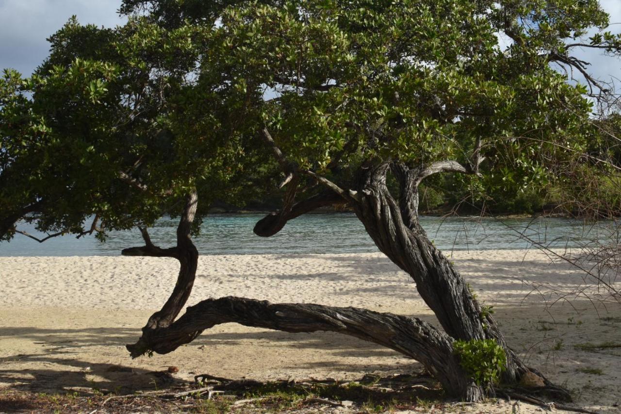 Location Vacances Guadeloupe Gite Et Table D'Hotes Kaz A Klemence Anse-Bertrand Extérieur photo