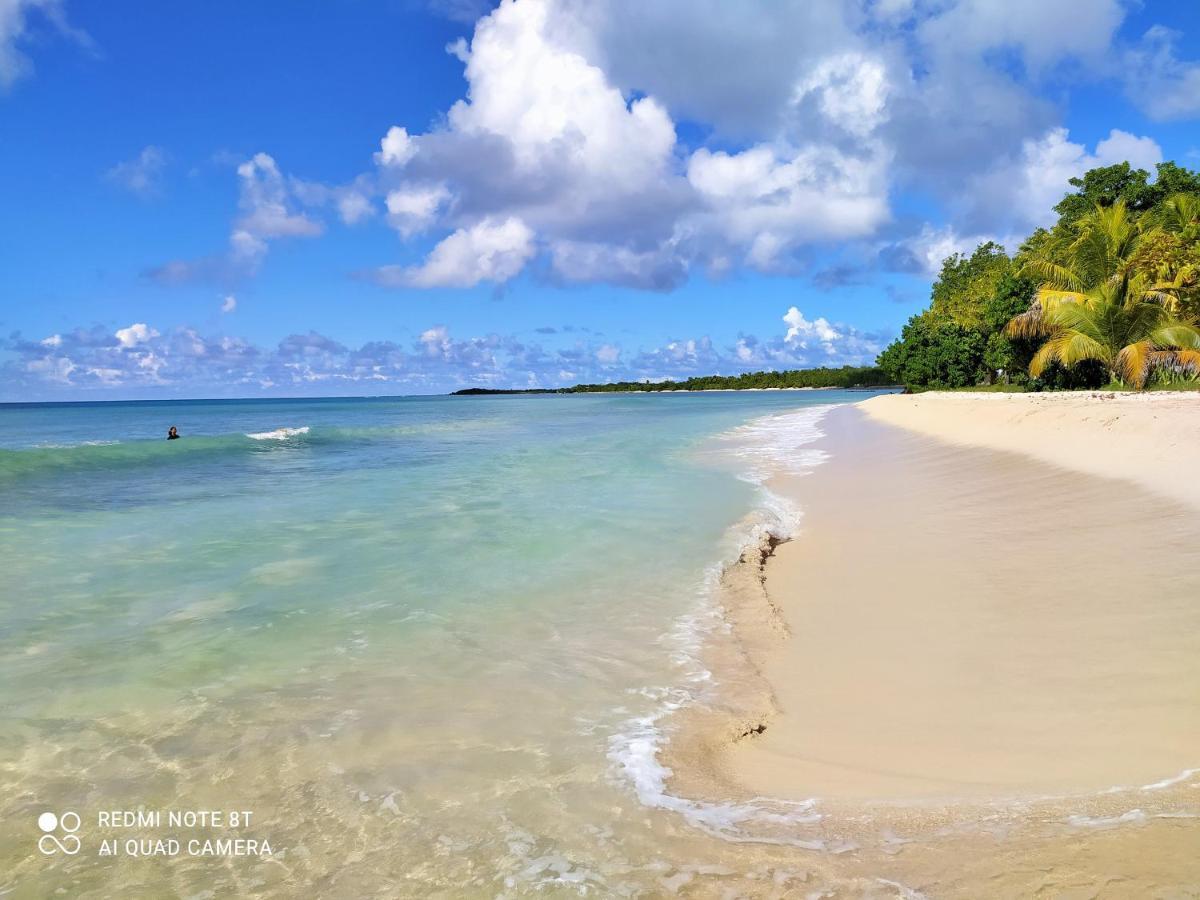 Location Vacances Guadeloupe Gite Et Table D'Hotes Kaz A Klemence Anse-Bertrand Extérieur photo