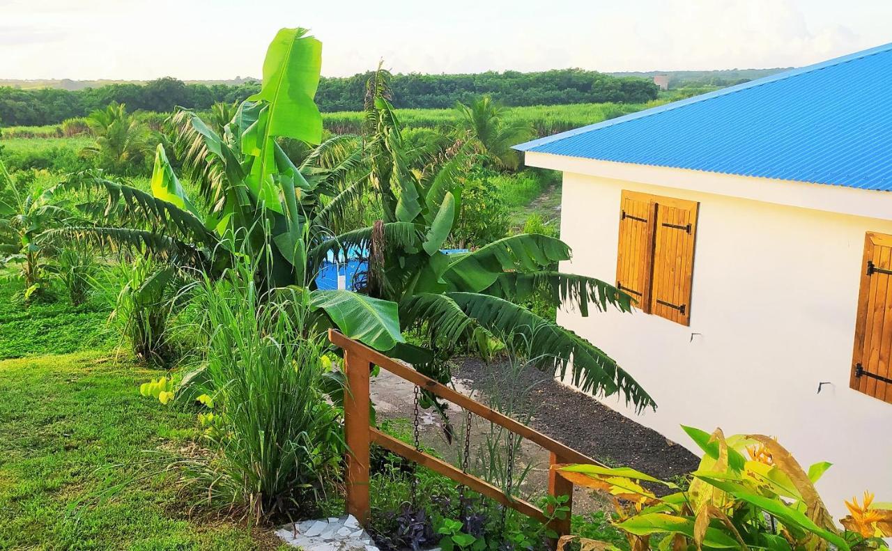 Location Vacances Guadeloupe Gite Et Table D'Hotes Kaz A Klemence Anse-Bertrand Extérieur photo