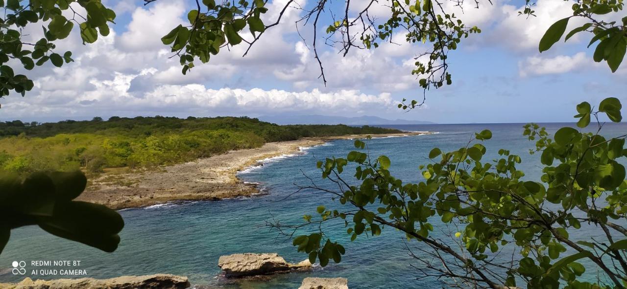 Location Vacances Guadeloupe Gite Et Table D'Hotes Kaz A Klemence Anse-Bertrand Extérieur photo