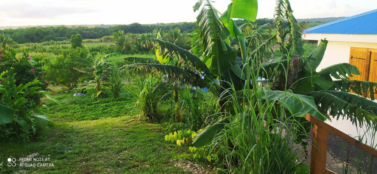 Location Vacances Guadeloupe Gite Et Table D'Hotes Kaz A Klemence Anse-Bertrand Extérieur photo