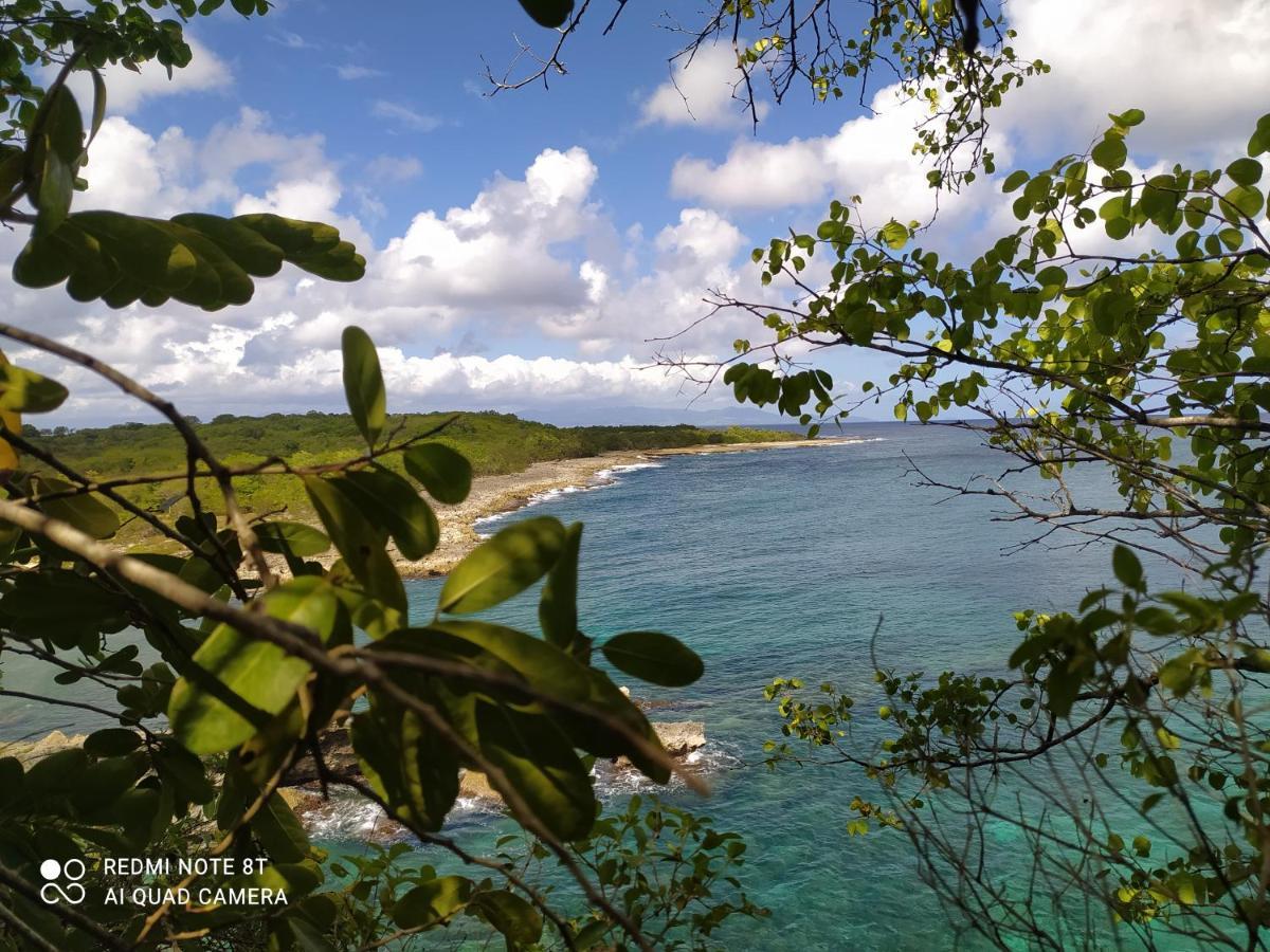 Location Vacances Guadeloupe Gite Et Table D'Hotes Kaz A Klemence Anse-Bertrand Extérieur photo