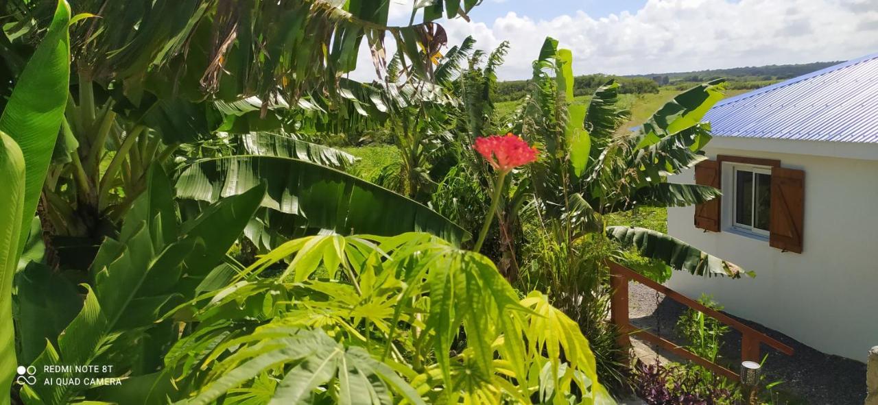 Location Vacances Guadeloupe Gite Et Table D'Hotes Kaz A Klemence Anse-Bertrand Extérieur photo