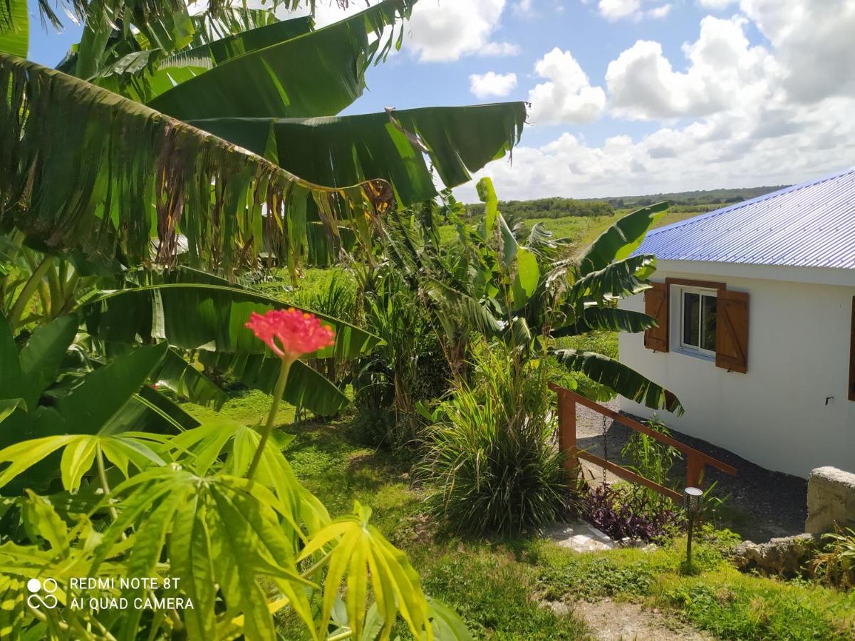 Location Vacances Guadeloupe Gite Et Table D'Hotes Kaz A Klemence Anse-Bertrand Extérieur photo