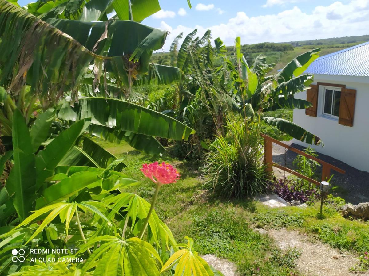 Location Vacances Guadeloupe Gite Et Table D'Hotes Kaz A Klemence Anse-Bertrand Extérieur photo