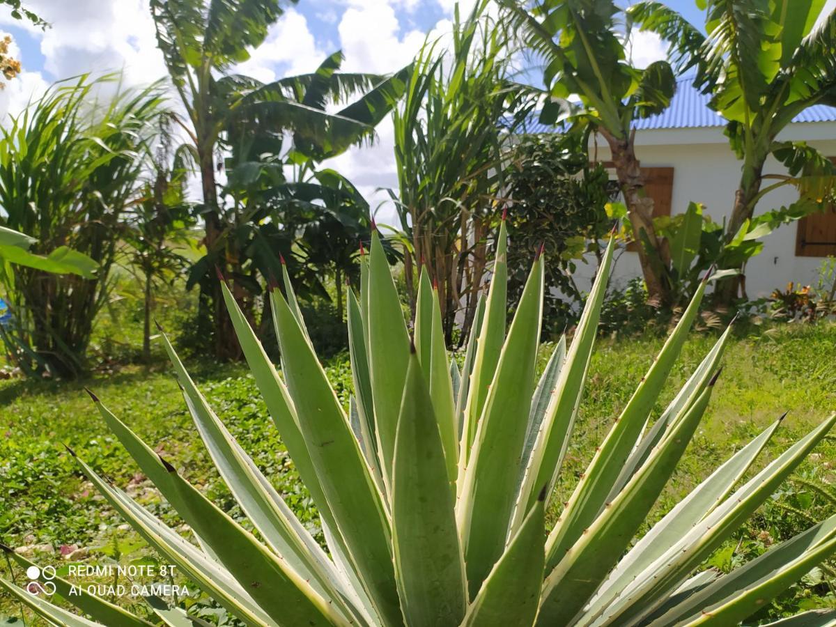 Location Vacances Guadeloupe Gite Et Table D'Hotes Kaz A Klemence Anse-Bertrand Extérieur photo