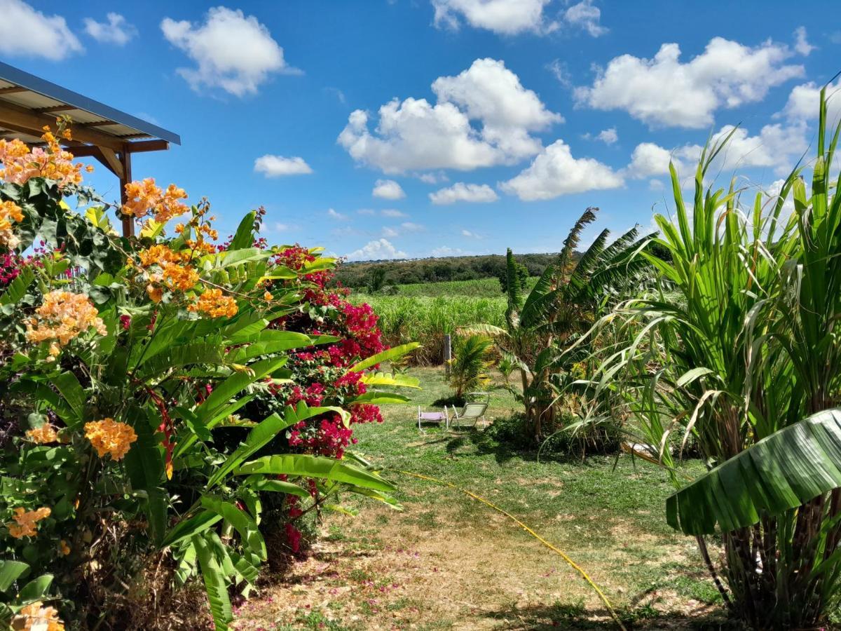 Location Vacances Guadeloupe Gite Et Table D'Hotes Kaz A Klemence Anse-Bertrand Extérieur photo