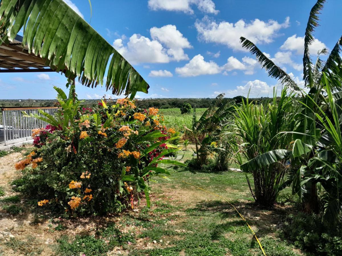 Location Vacances Guadeloupe Gite Et Table D'Hotes Kaz A Klemence Anse-Bertrand Extérieur photo