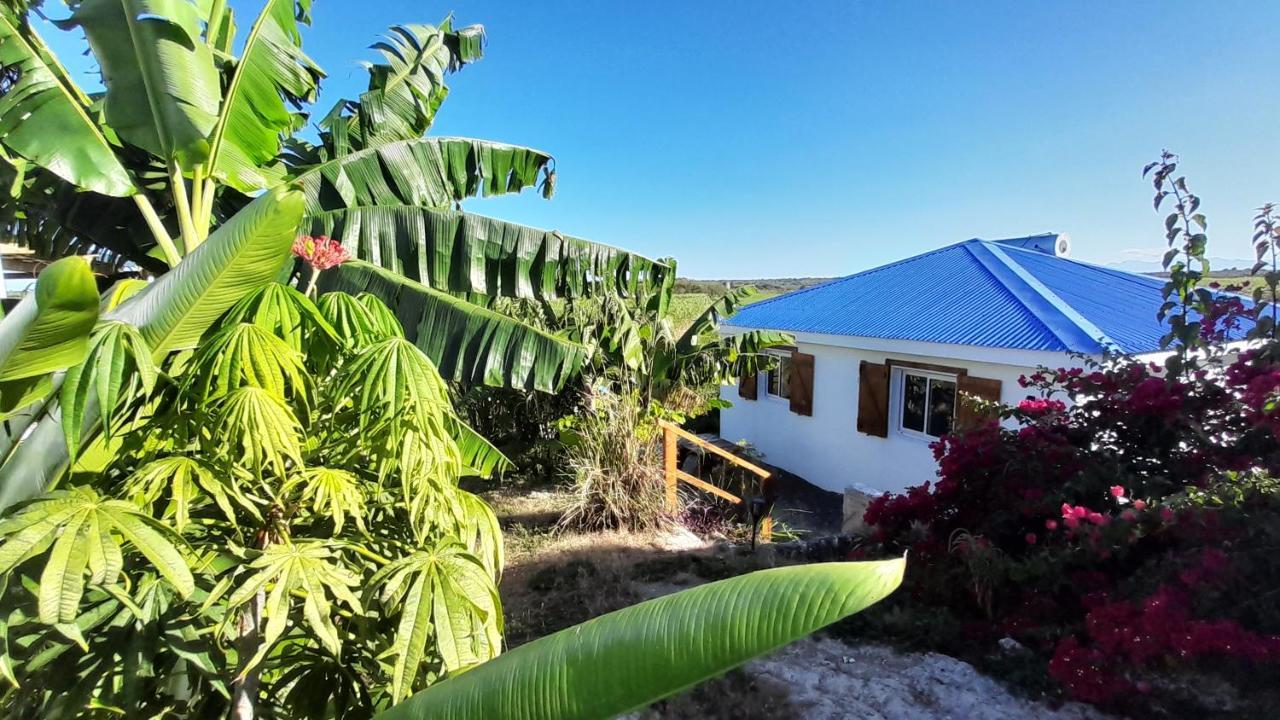 Location Vacances Guadeloupe Gite Et Table D'Hotes Kaz A Klemence Anse-Bertrand Extérieur photo